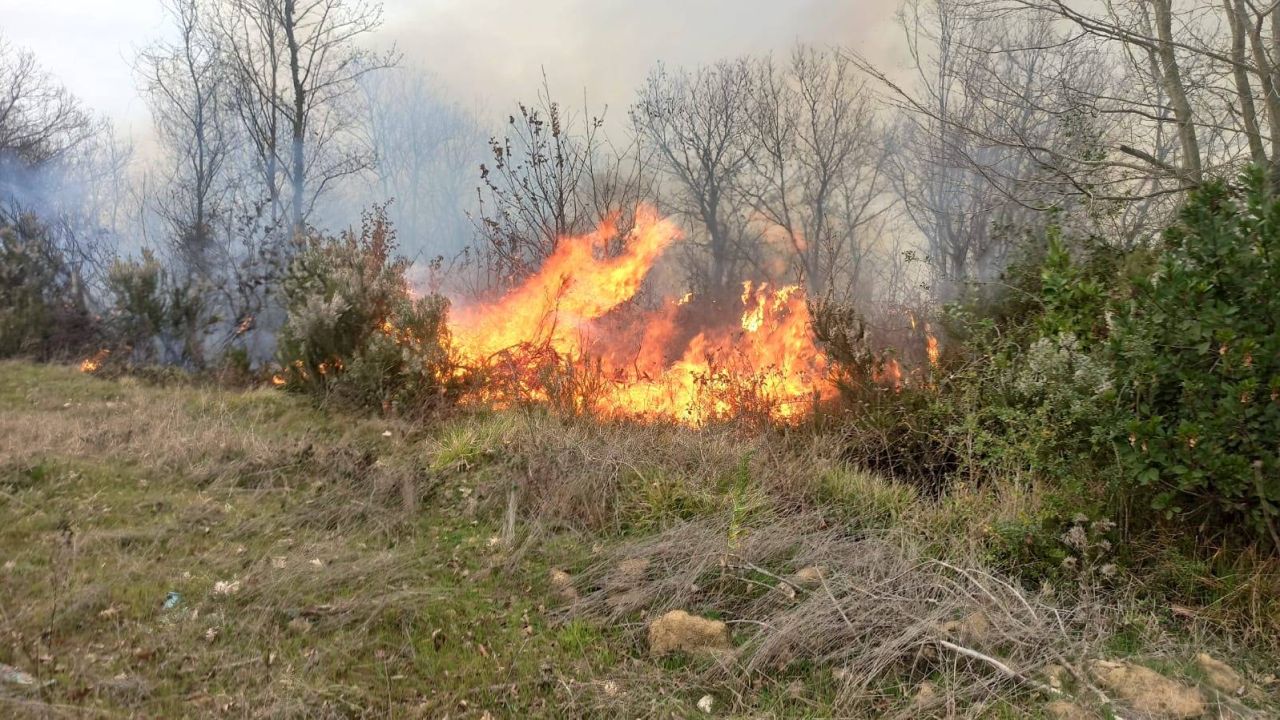 Sakarya'daki sazlık yangını Kocaeli'ye sıçradı, kontrol altına alındı