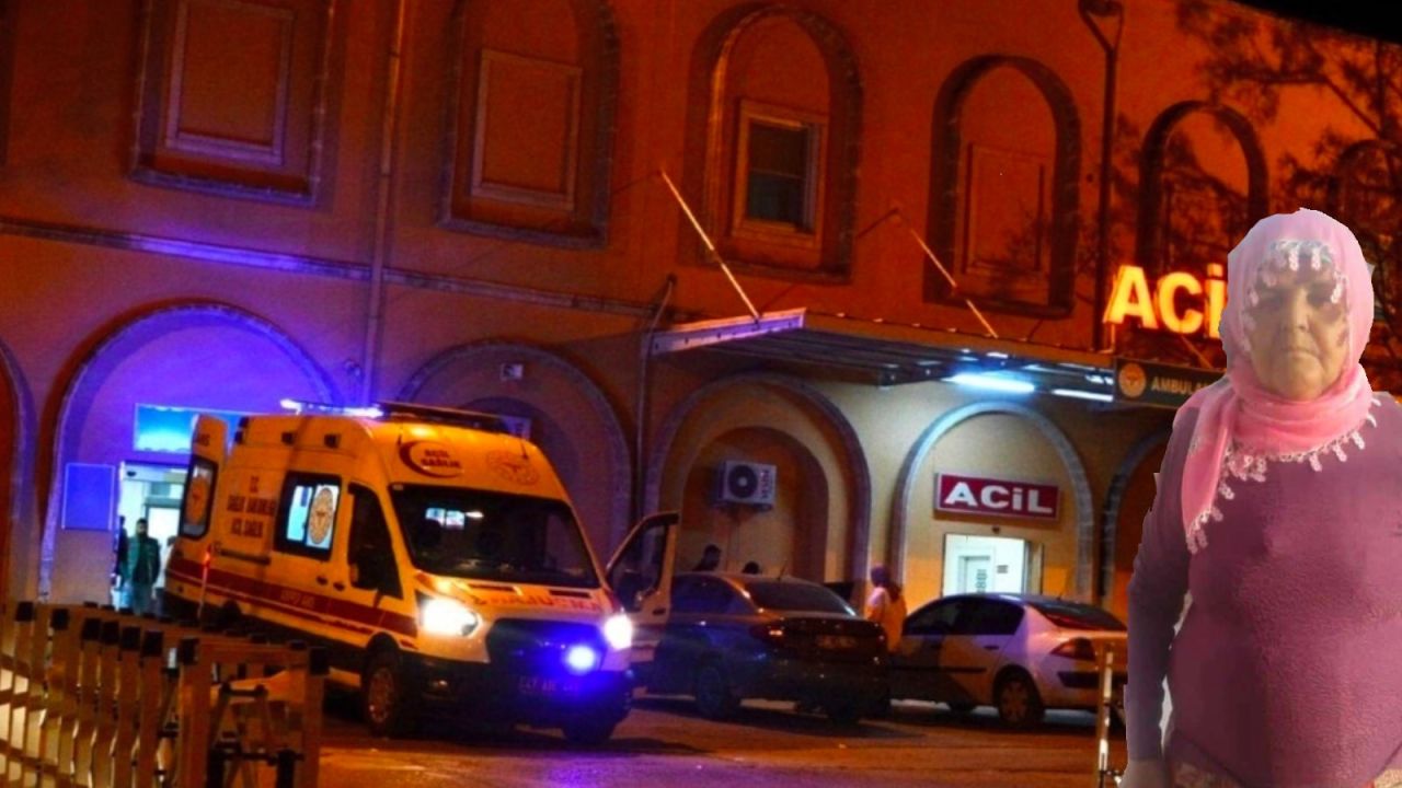 Yaya geçidinde feci kaza: Otomobil çarpan kadın yaşamını yitirdi