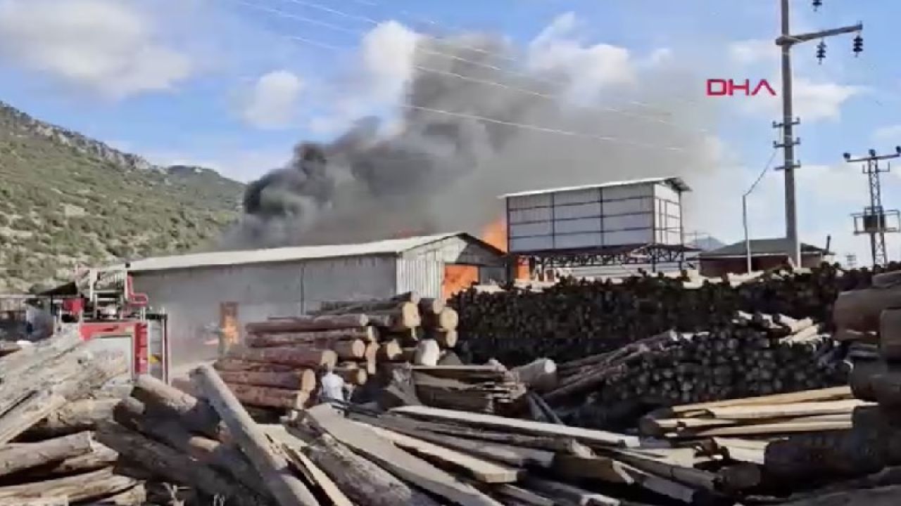 Burdur'daki kereste fabrikasını yangın yuttu
